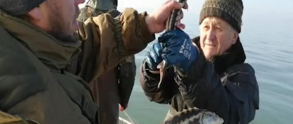 Прикордонники Бердянського загону на Азові двічі за добу виявили браконьєрські сітки