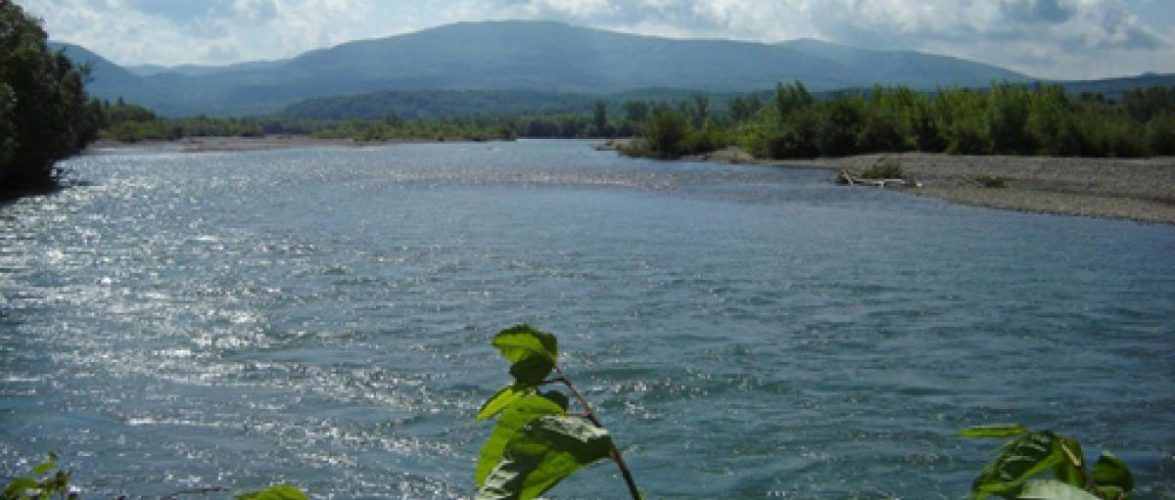 Неправомірна вигода заступника голови Держводагенства: матеріали відкрито