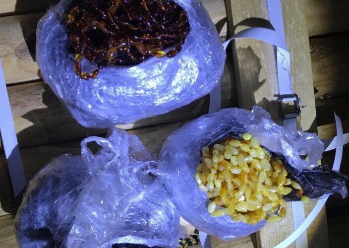 На паромній переправі Чорноморська знайшли 5 кг контрабандного бурштину