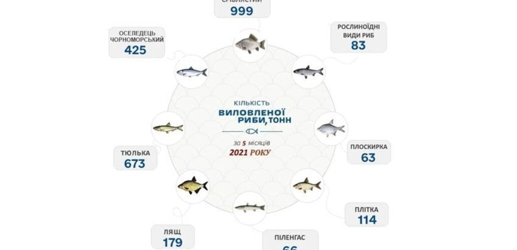 За 5 місяців промисловий вилов риби в Азовському морі збільшився на 42% – Держрибагенство